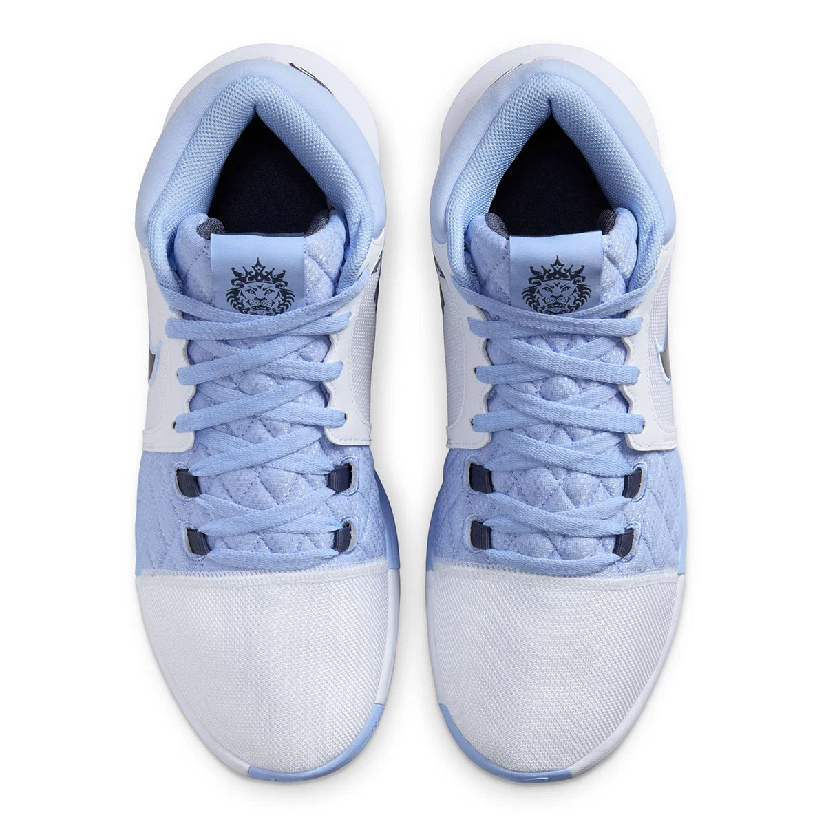 Nike LeBron Witness 8 UNC