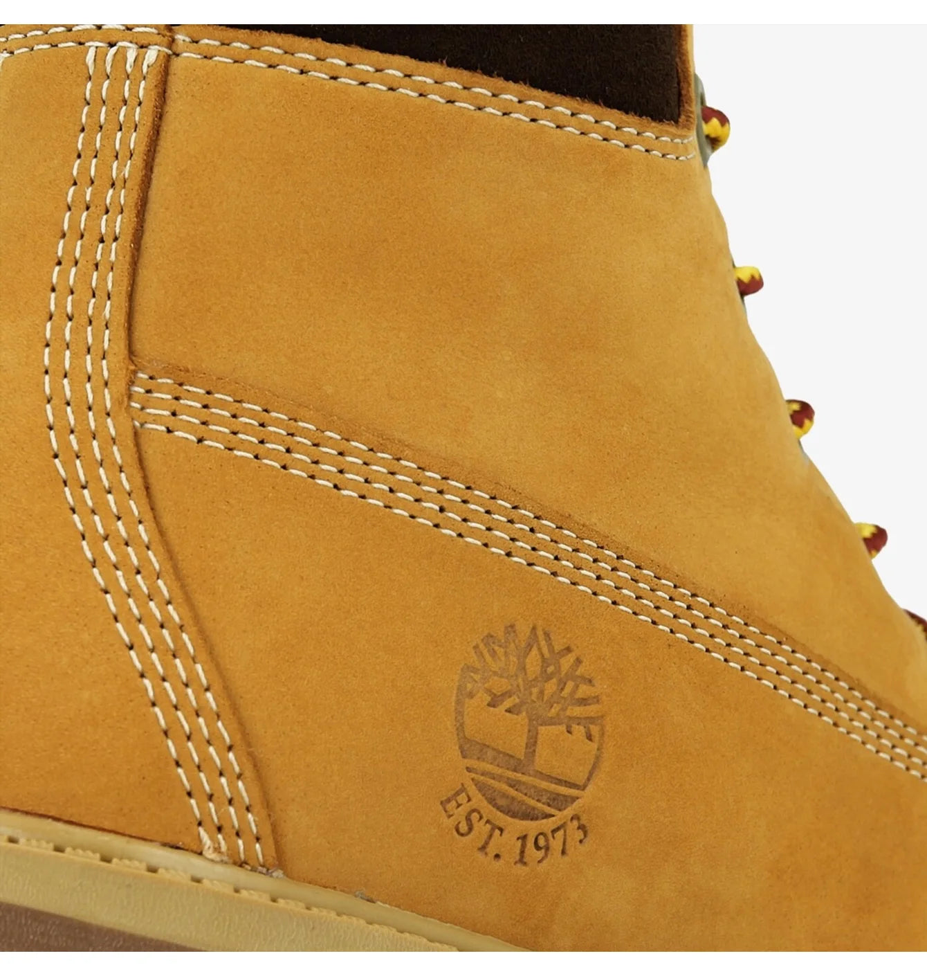 Timberland- 6 Inch Premium WP Boot BROWN Kids