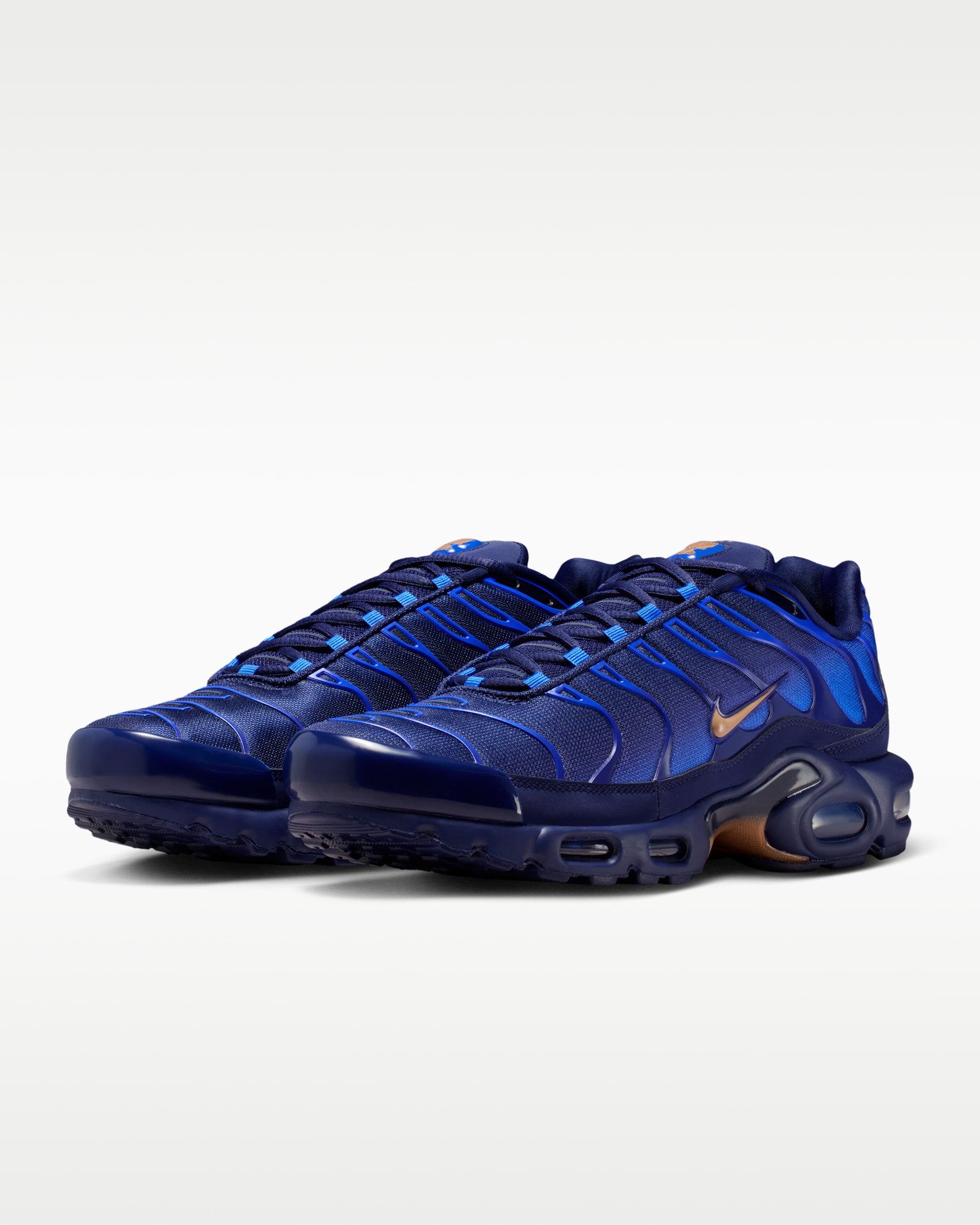 Nike Air Max Plus French Football Federation