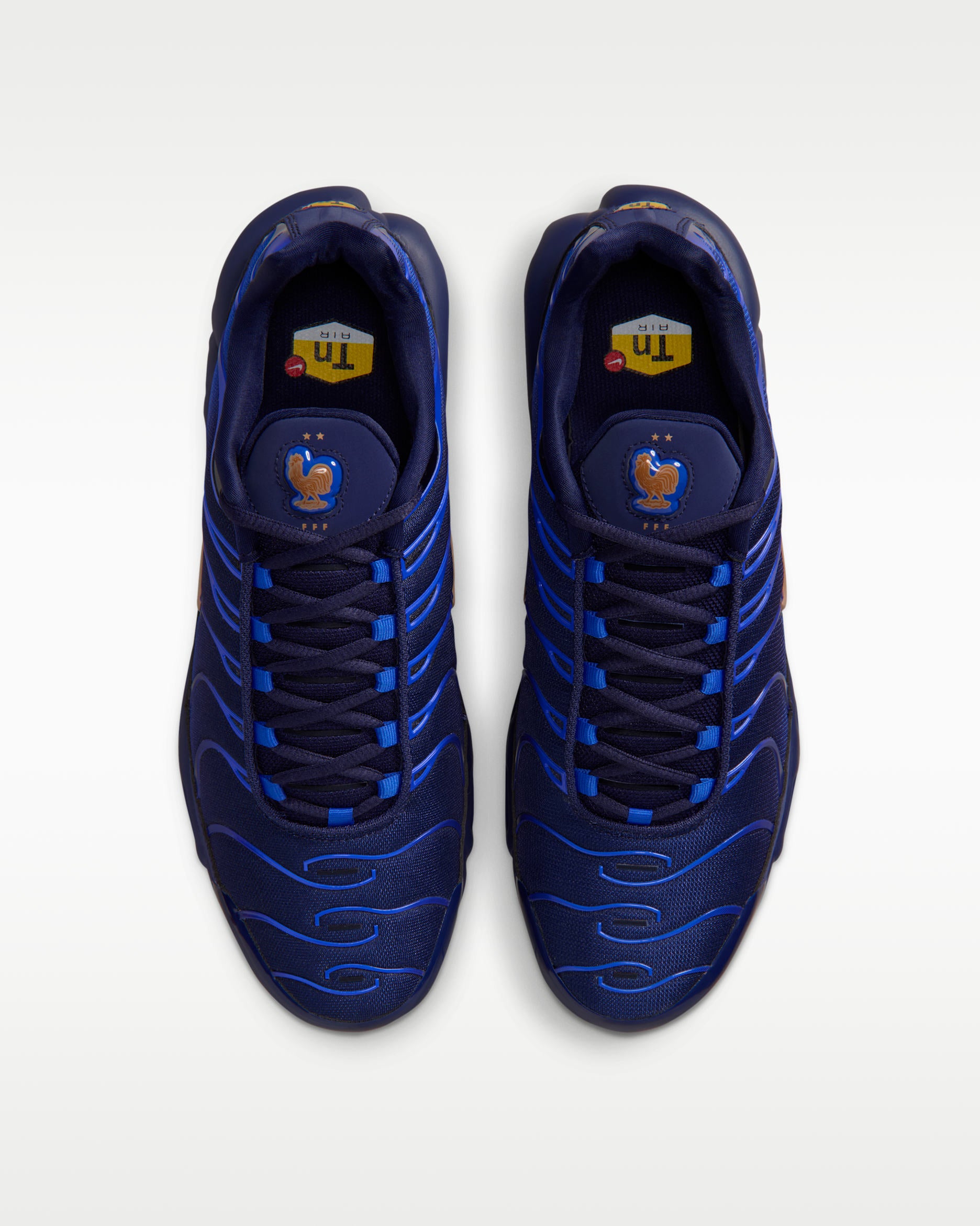 Nike Air Max Plus French Football Federation
