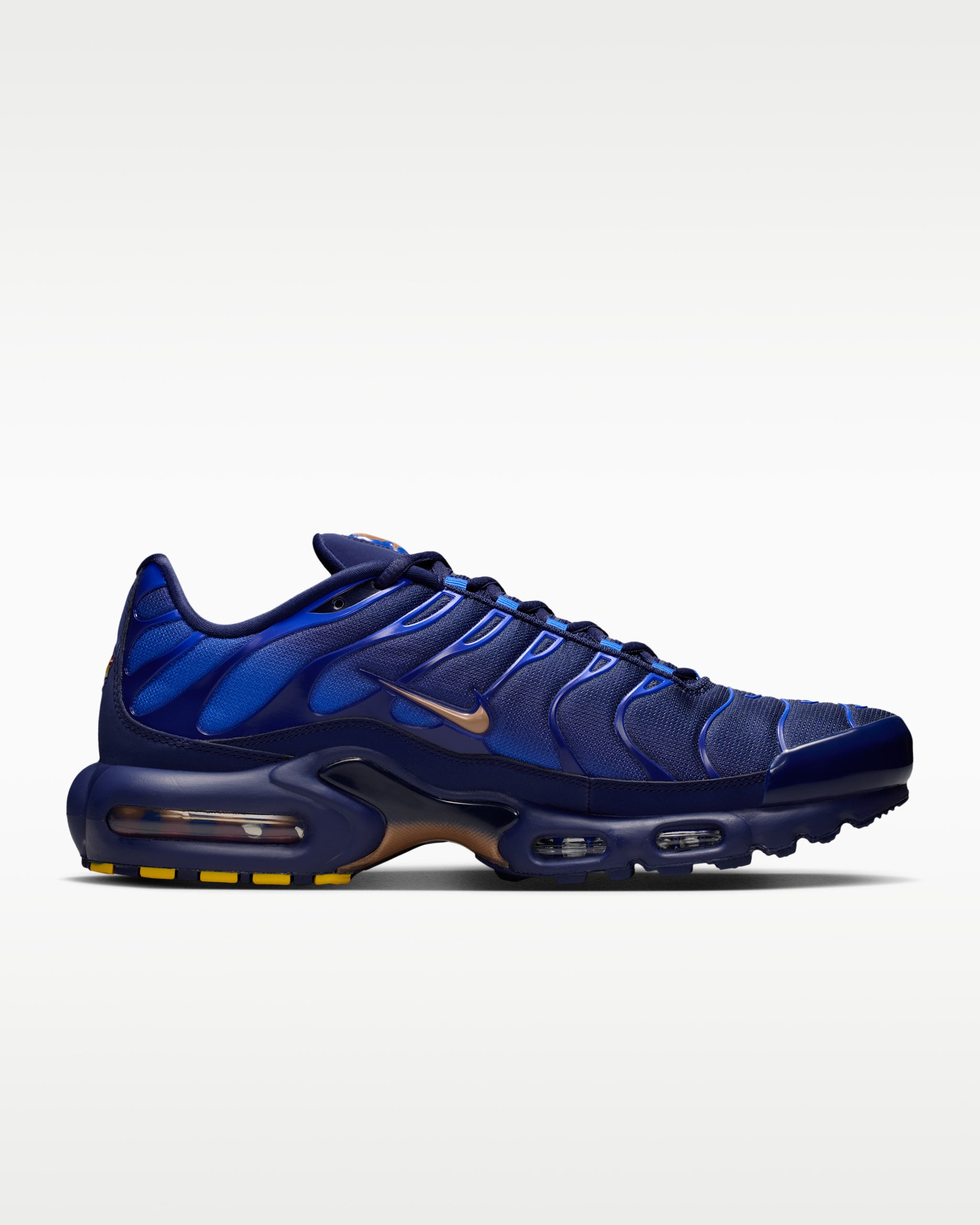 Nike Air Max Plus French Football Federation