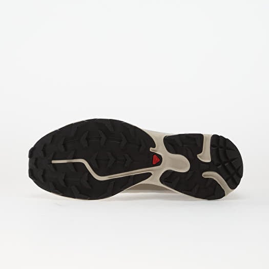 Salomon XT-6 Rainy Day Paloma